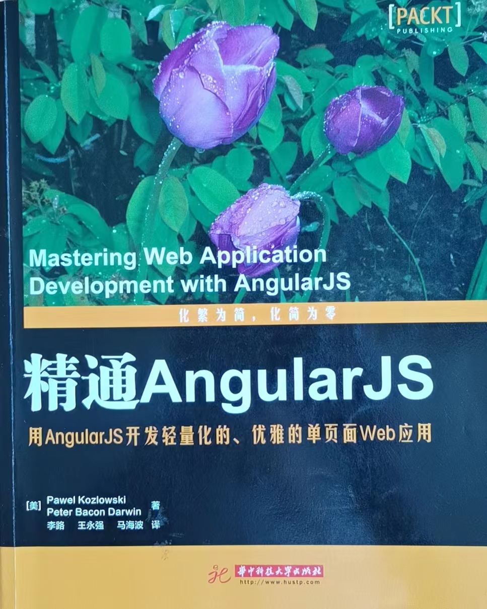 精通Angular.js